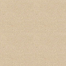 Ковролин Radici Abetone Avorio 4215 фото 1 | FLOORDEALER